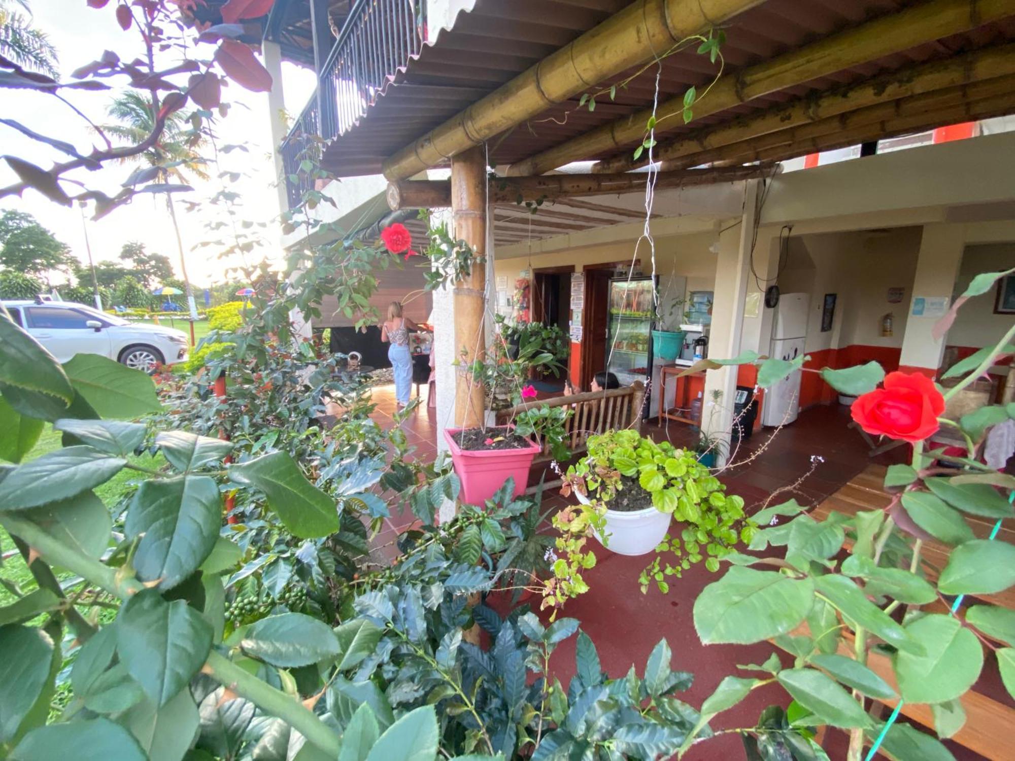 Finca Hotel Los Cocos Montenegro Buitenkant foto
